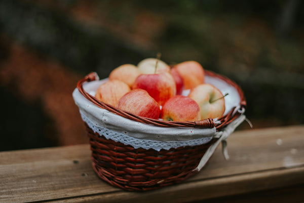 MAY – PLAN AHEAD & THE VEGETABLE GARDEN WILL FEED YOU ALL WINTER