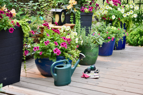 How To Grow A Container Garden