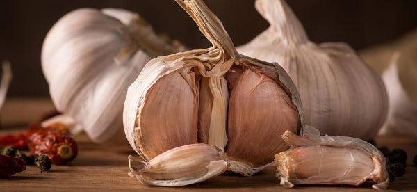 How to Grow Garlic