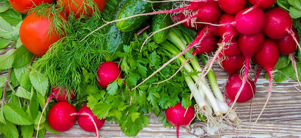 How to Grow Organic Vegetables