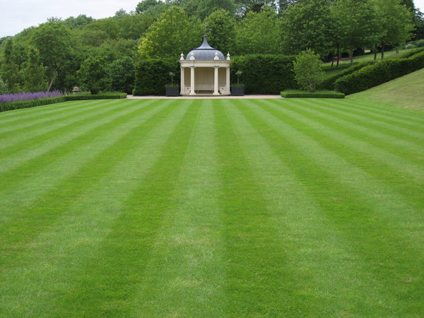 How to Grow and Maintain a Lawn