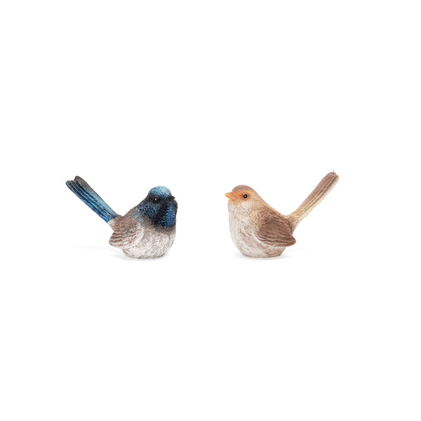 Fairy Wren