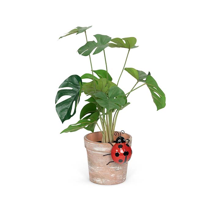 Ladybug Pot Sitter