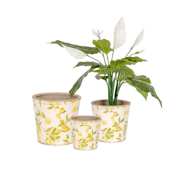 Lemon Pot | Tall | Sml