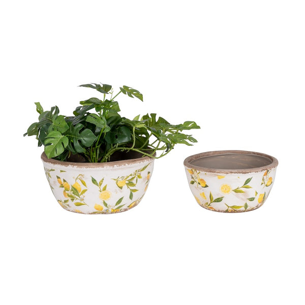 Lemon Pot | Shallow | Sml