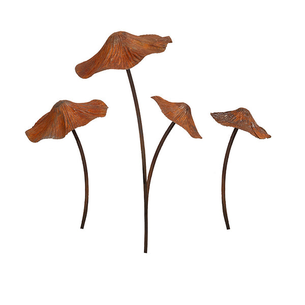 Mushrooms S/3
