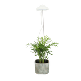 LED GROW LAMP
