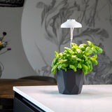 LED GROW LAMP