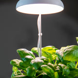 LED GROW LAMP