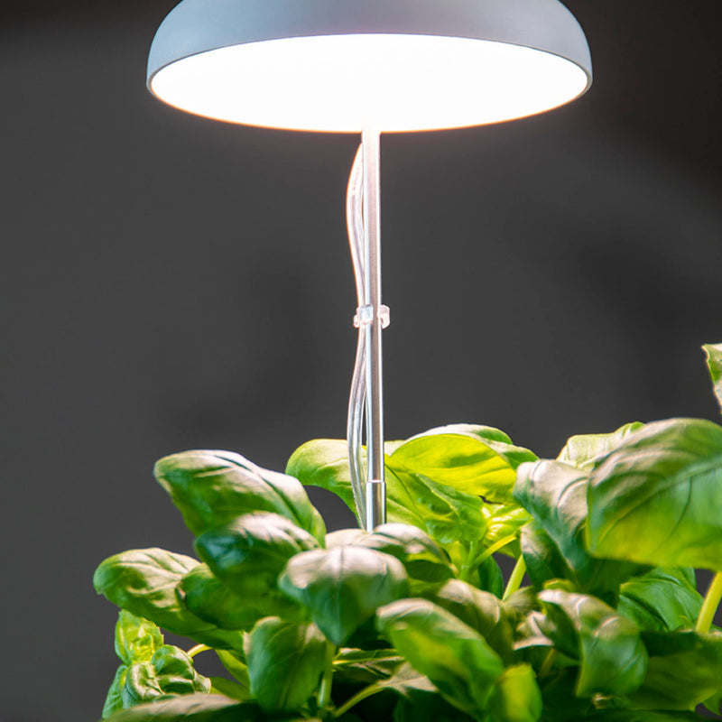 LED GROW LAMP