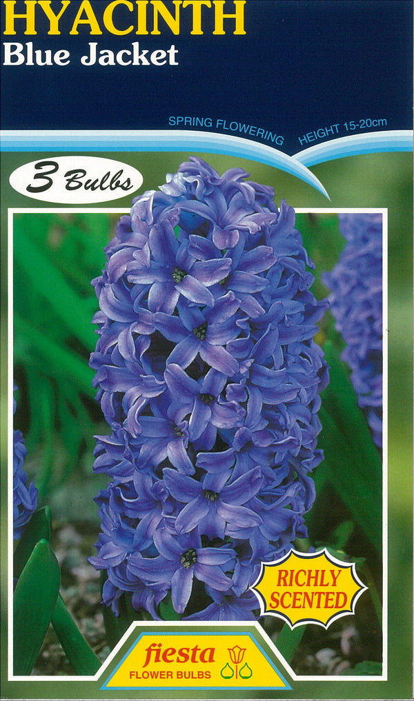 Hyacinth Blue Jacket