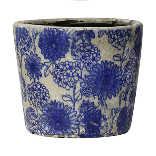 Blue and White Aster Planter