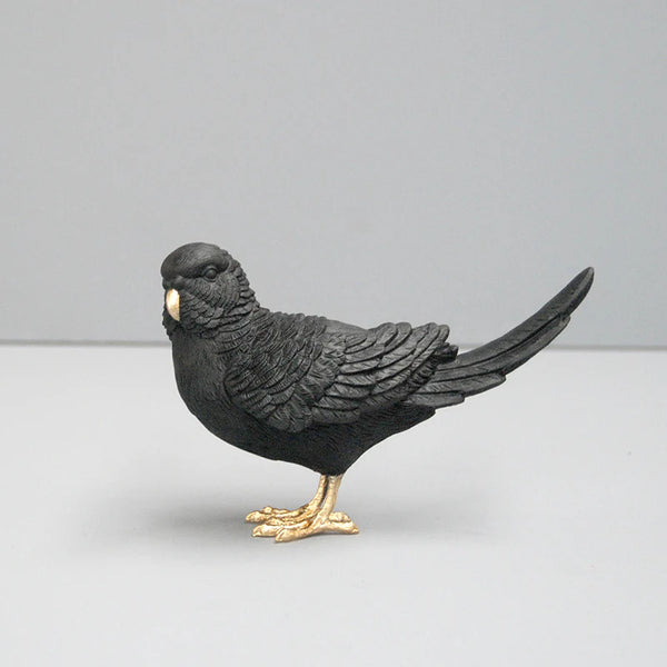 Budgie - Black & Gold
