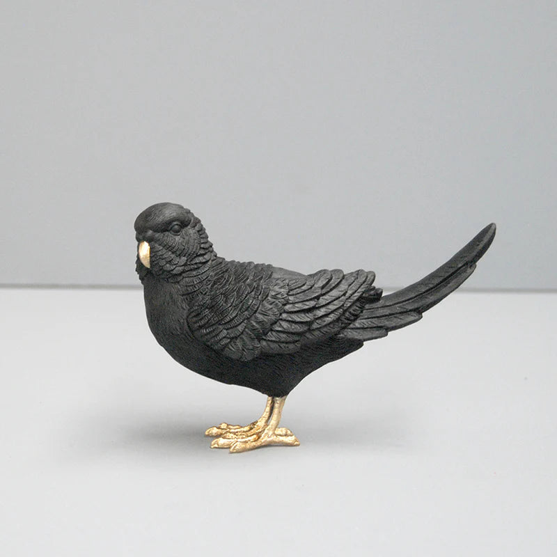 Budgie - Black & Gold