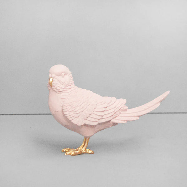 Budgie - Pink & Gold