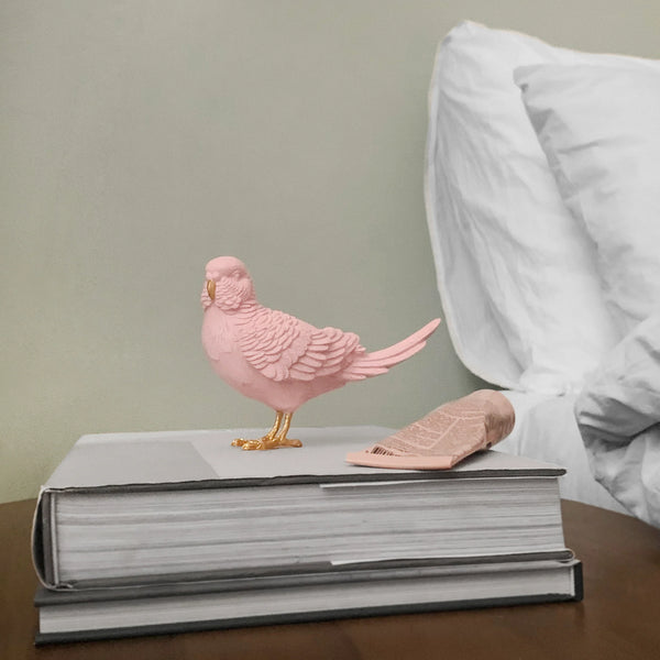 Budgie - Pink & Gold
