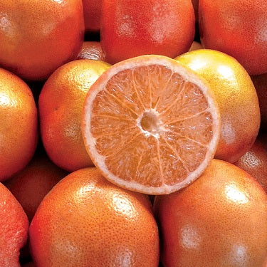 Grapefruit Cutler's Red