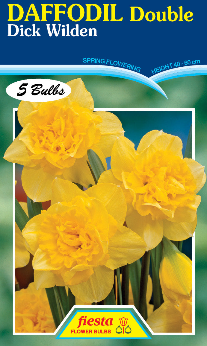 Daffodil Double Dick Wilden