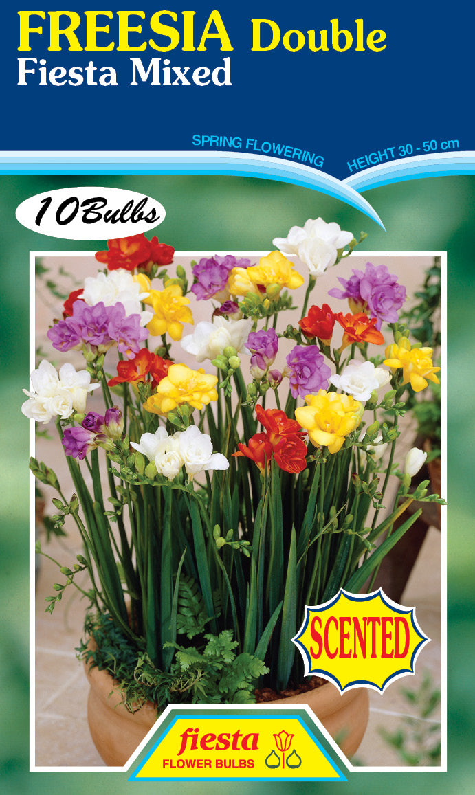 Freesia Double Mix 10 pack