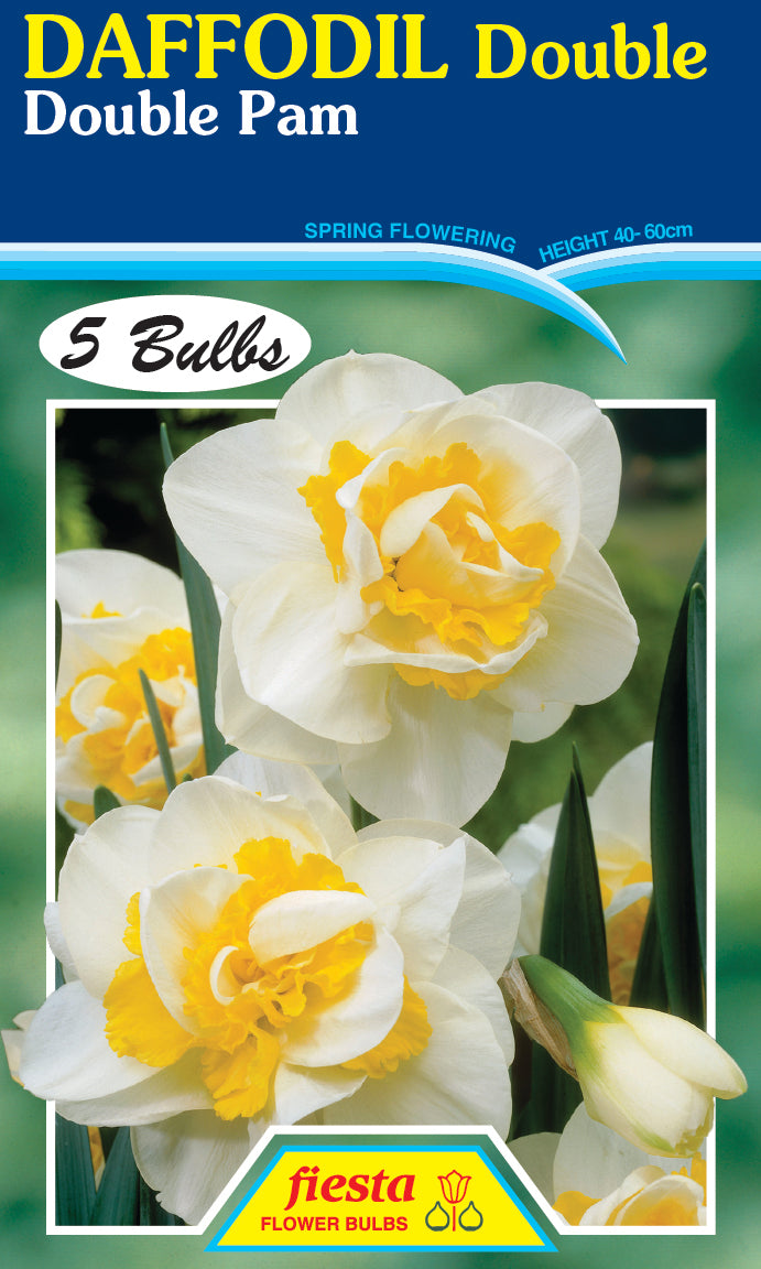 Daffodil Double Pam