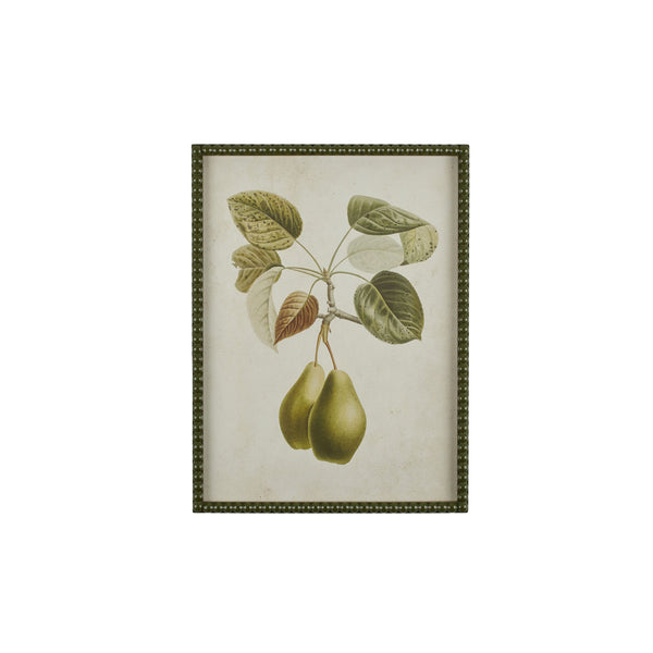 Pear Botanical Print II | Art Print | Frame