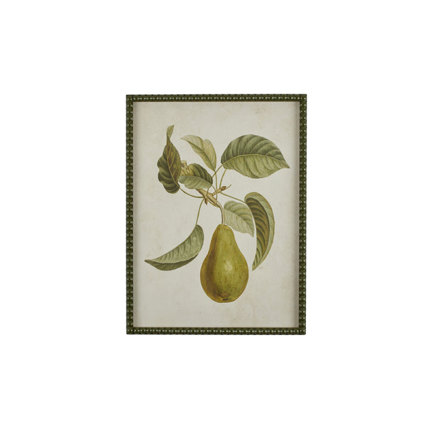 Pear Botanical Print I | Art Print | Frame