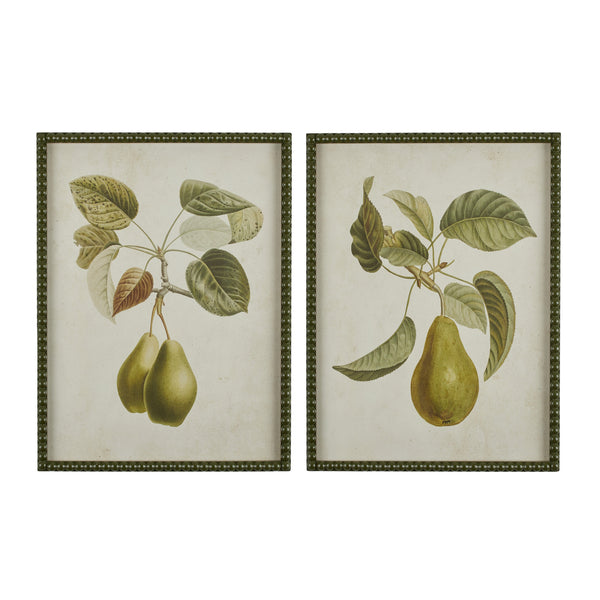 Pear Botanical Print I | Art Print | Frame