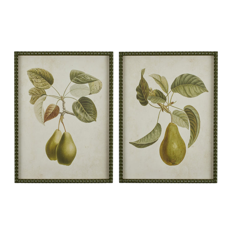 Pear Botanical Print I | Art Print | Frame