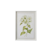 Hydrangea II | Art Print | Frame