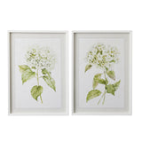 Hydrangea I | Art Print | Frame