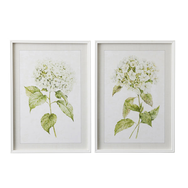 Hydrangea I | Art Print | Frame