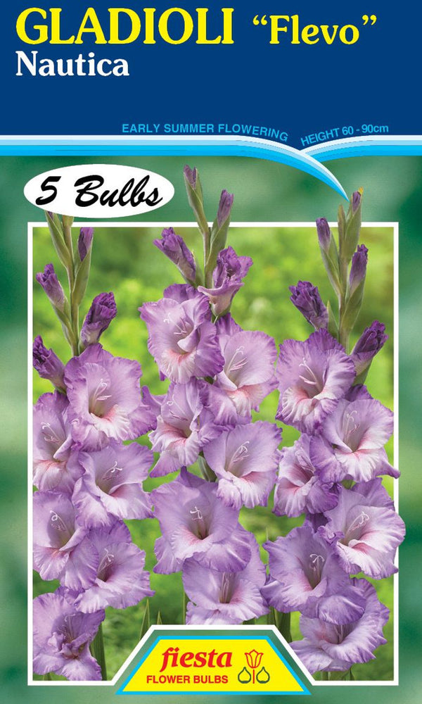 Gladioli 'Nautica'