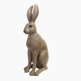 Harold the Hare Brown