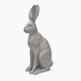 Harold the Hare Grey