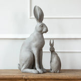 Harold the Hare Grey