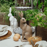 Harold the Hare Turning | Brown | Small