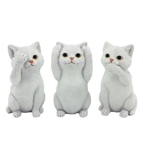 Cat Hear See Speak