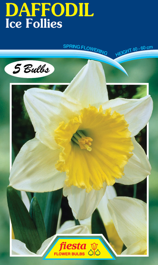 Daffodil Ice Follies