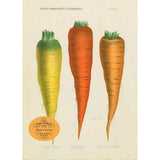 Three Carrots Jigsaw