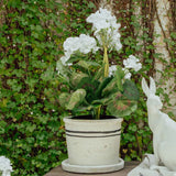 Lisbon Herb Pot | Small