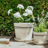 Lisbon Herb Pot | Large