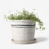 Lisbon Herb Pot | Large