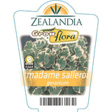 Geranium Madame Salleroi