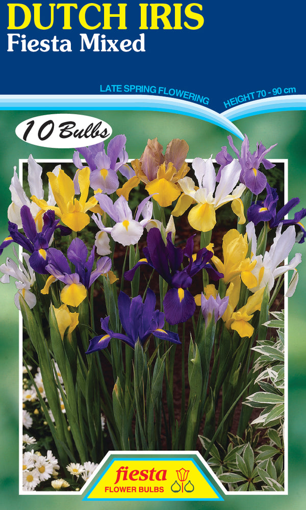 Dutch Iris Mix 10 pack