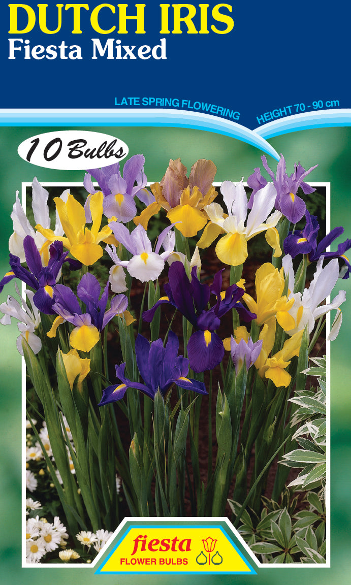 Dutch Iris Mix 10 pack