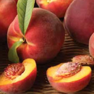 Peach 'Honey Babe'