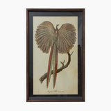 Pheasant Wall Art