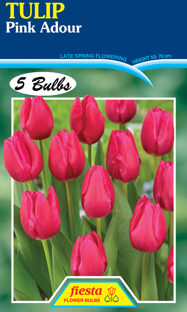 Tulip Pink Adour