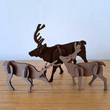 3D | REINDEER | A5