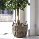 Salix Basket